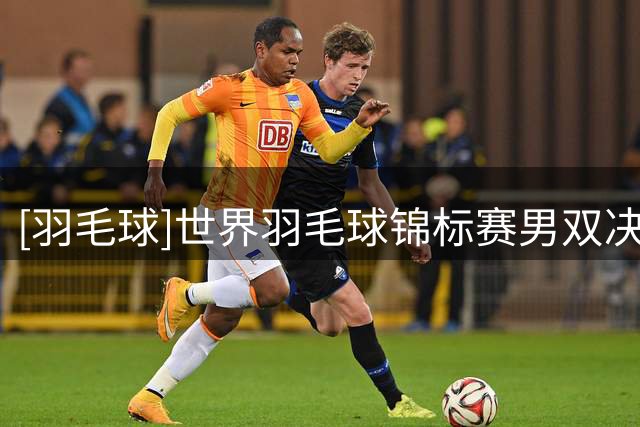 [羽毛球]世界羽毛球锦标赛男双决赛：梁伟铿/王昶VS谢定峰/苏伟译 集锦
